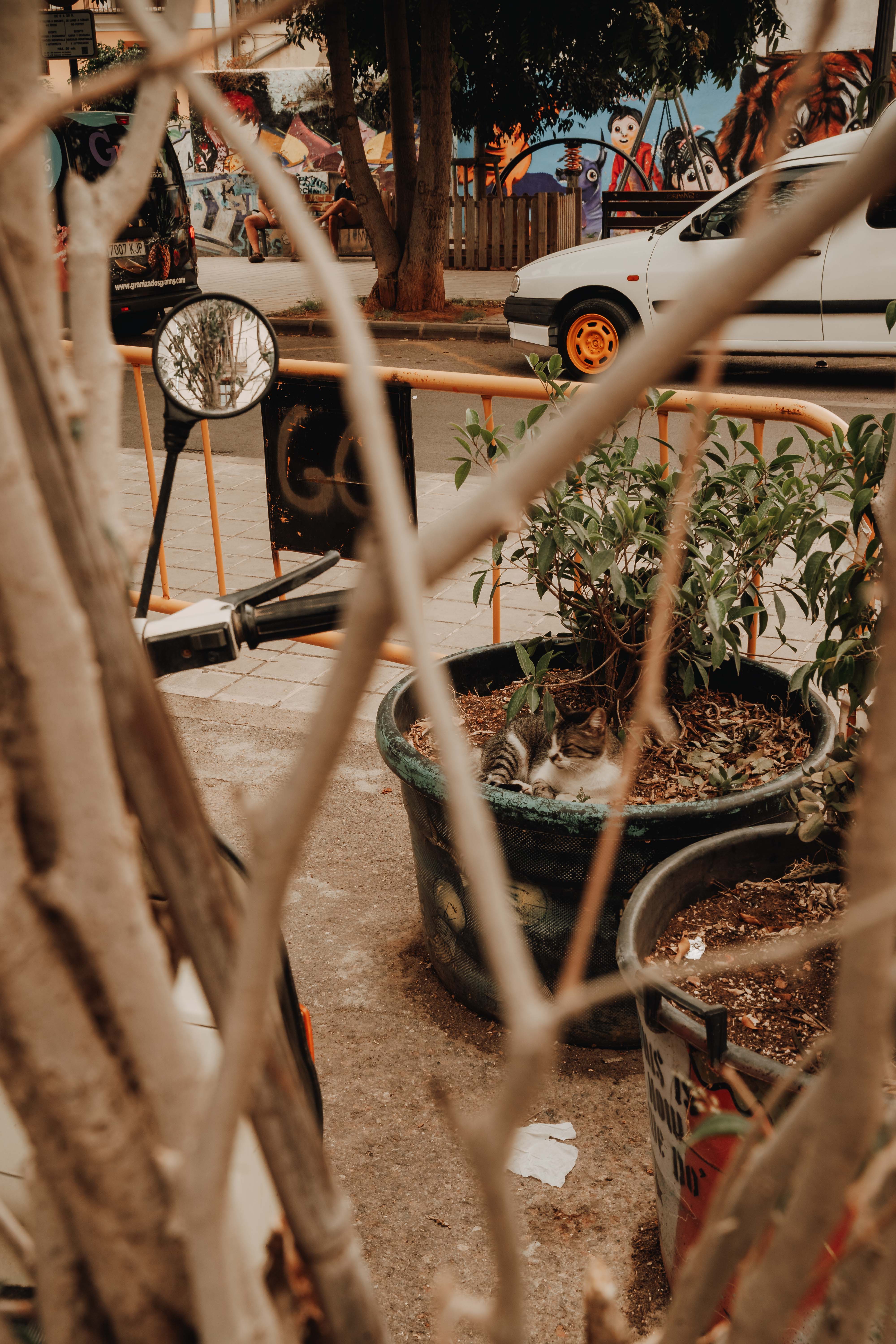 photowalk4